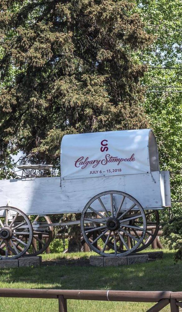 Erlton Homes for Sale Calgary